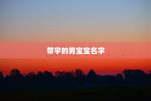 带宇的男宝宝名字