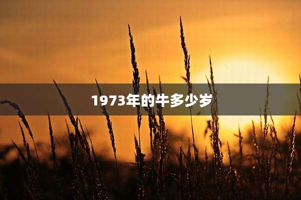 1973年的牛多少岁