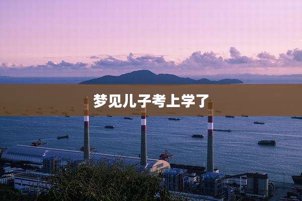 梦见儿子考上学了