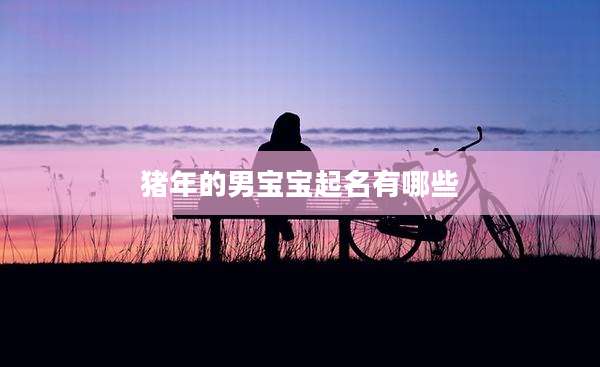 猪年的男宝宝起名有哪些