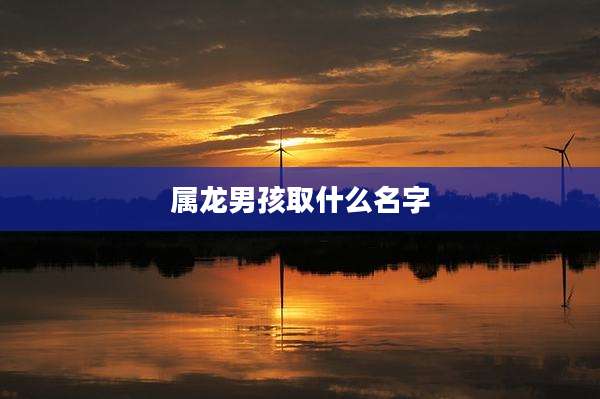 属龙男孩取什么名字