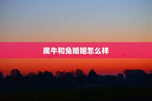 属牛和兔婚姻怎么样