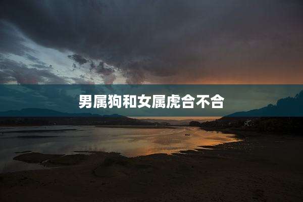 男属狗和女属虎合不合