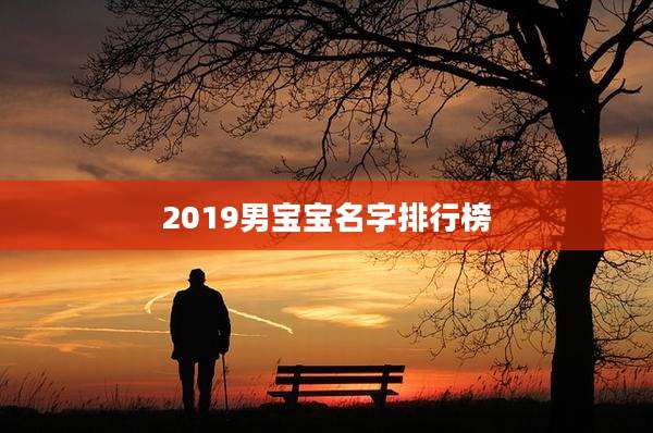 2019男宝宝名字排行榜