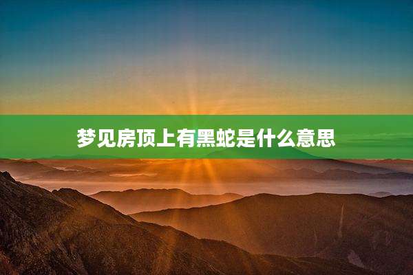 梦见房顶上有黑蛇是什么意思