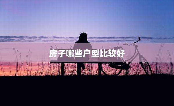 房子哪些户型比较好
