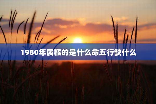 1980年属猴的是什么命五行缺什么