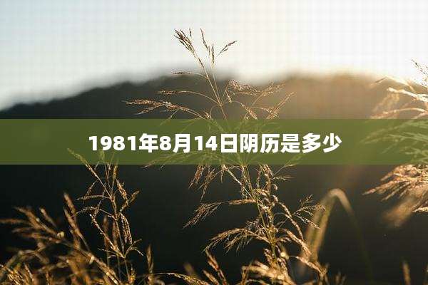 1981年8月14日阴历是多少