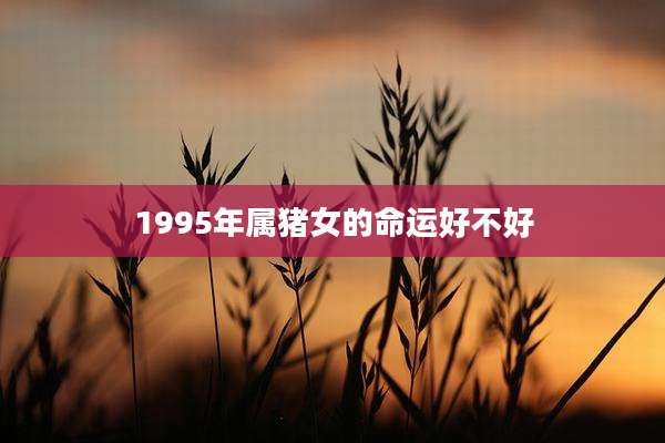 1995年属猪女的命运好不好