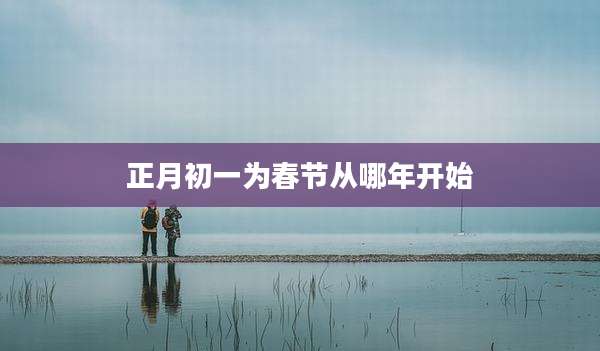 正月初一为春节从哪年开始