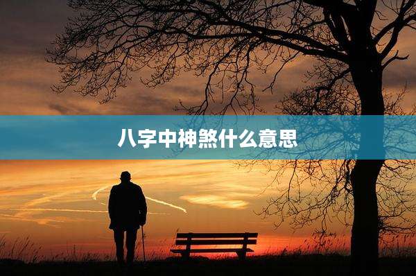 八字中神煞什么意思