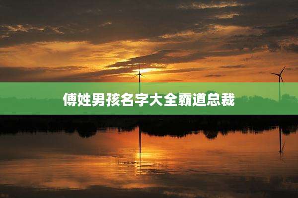 傅姓男孩名字大全霸道总裁