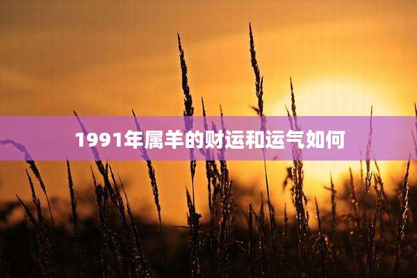 1991年属羊的财运和运气如何