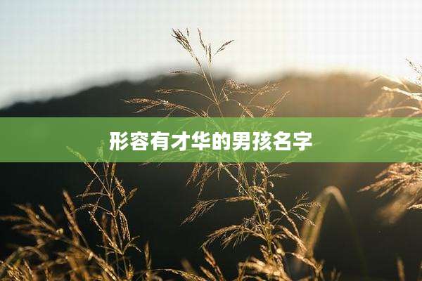 形容有才华的男孩名字