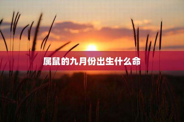 属鼠的九月份出生什么命