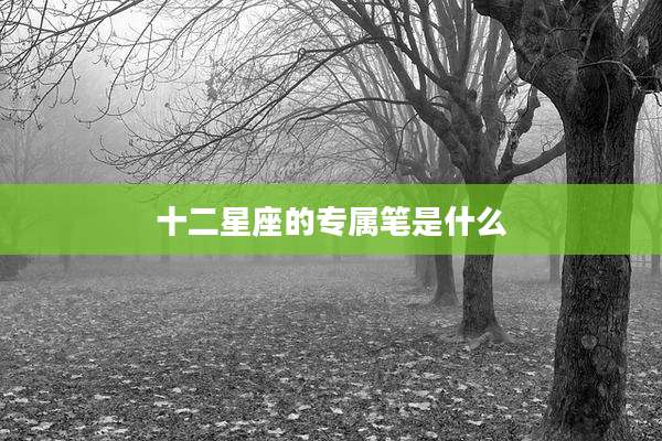 十二星座的专属笔是什么
