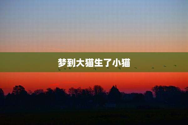 梦到大猫生了小猫