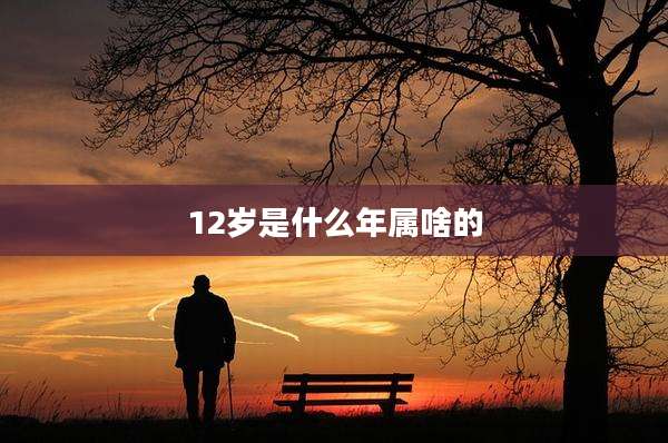 12岁是什么年属啥的