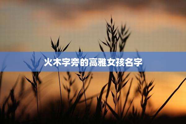 火木字旁的高雅女孩名字