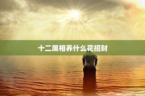 十二属相养什么花招财