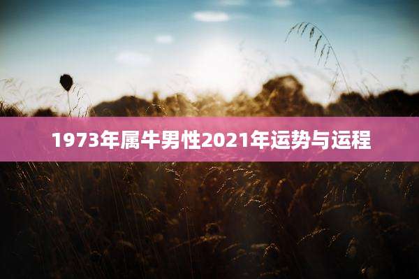 1973年属牛男性2021年运势与运程