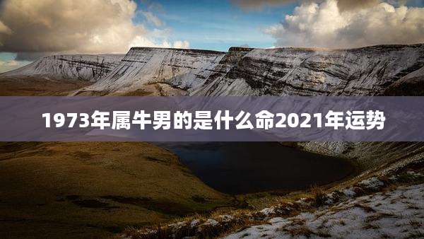 1973年属牛男的是什么命2021年运势