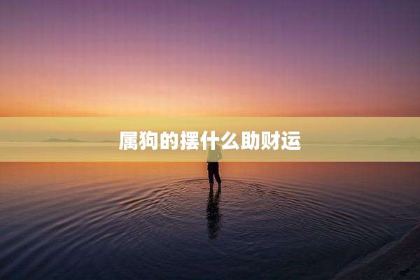 属狗的摆什么助财运