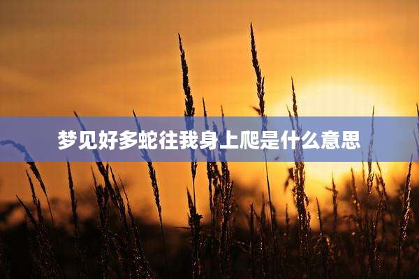 梦见好多蛇往我身上爬是什么意思