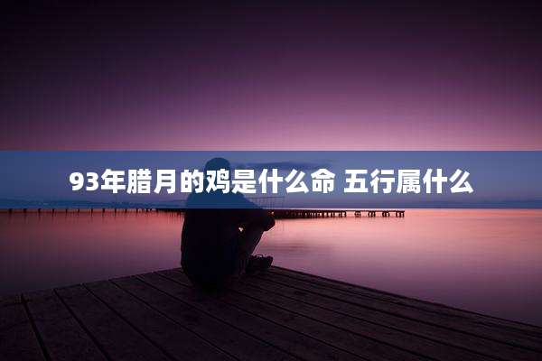 93年腊月的鸡是什么命 五行属什么