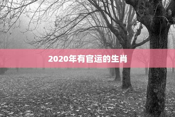 2020年有官运的生肖