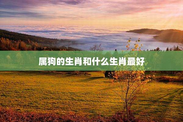 属狗的生肖和什么生肖最好