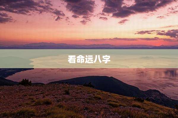 看命远八字
