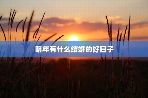 明年有什么结婚的好日子
