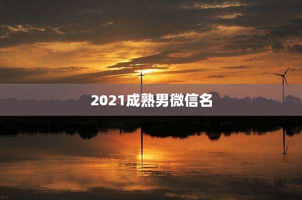 2021成熟男微信名