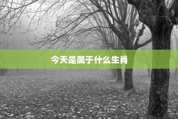 今天是属于什么生肖