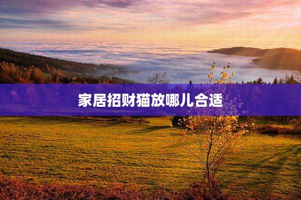 家居招财猫放哪儿合适
