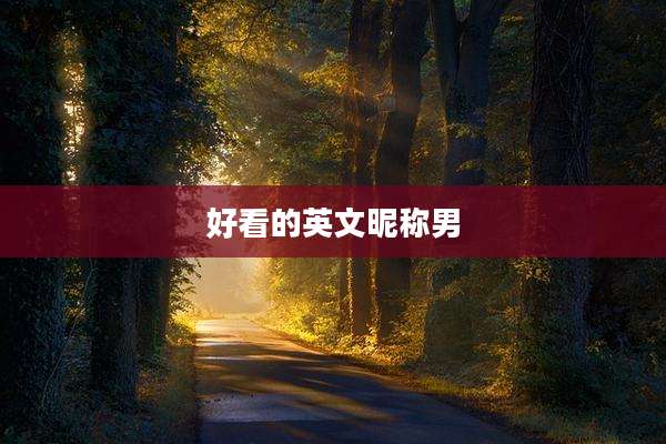 好看的英文昵称男