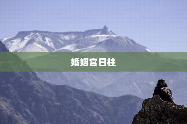 婚姻宫日柱