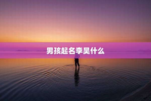 男孩起名李昊什么