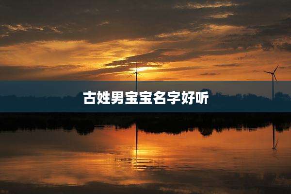 古姓男宝宝名字好听