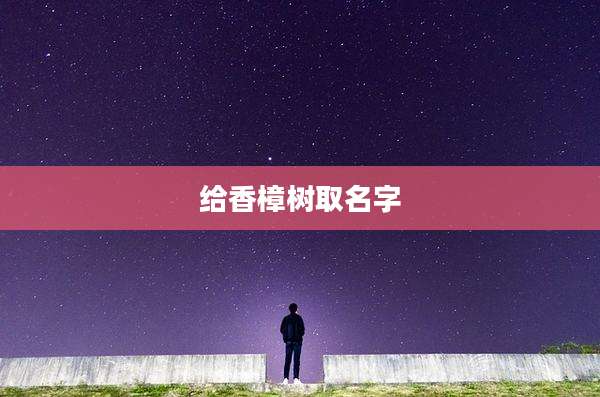 给香樟树取名字