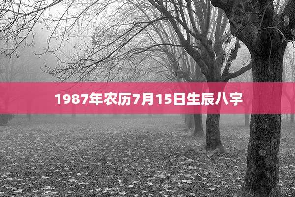 1987年农历7月15日生辰八字