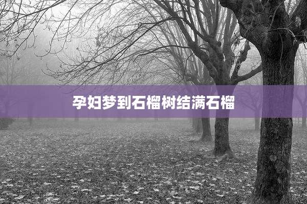 孕妇梦到石榴树结满石榴