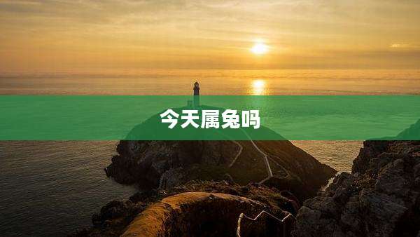 今天属兔吗