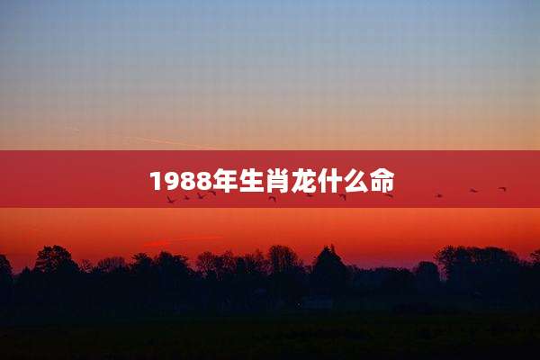 1988年生肖龙什么命