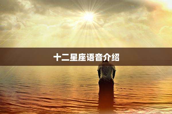 十二星座语音介绍