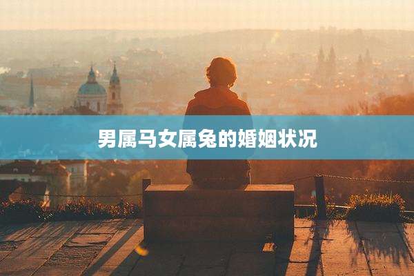 男属马女属兔的婚姻状况