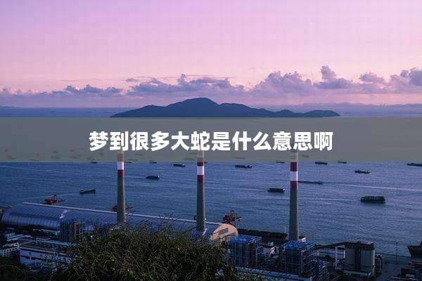 梦到很多大蛇是什么意思啊