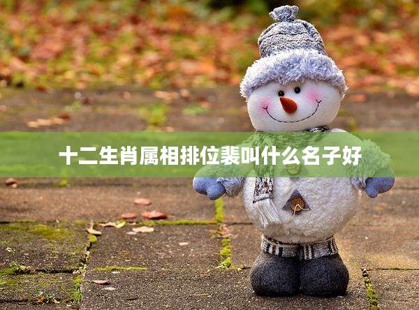 十二生肖属相排位裴叫什么名子好