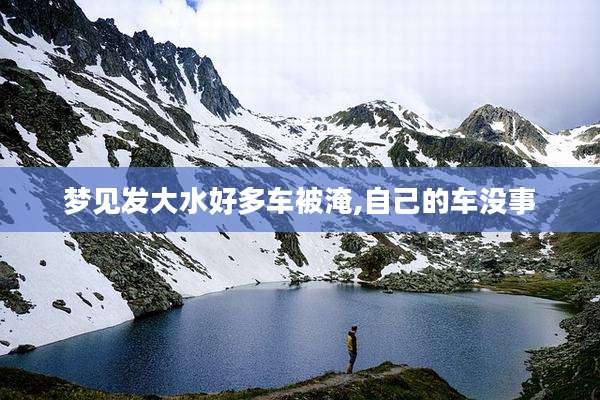 梦见发大水好多车被淹,自己的车没事